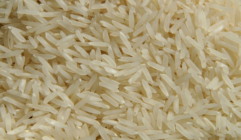 Rice